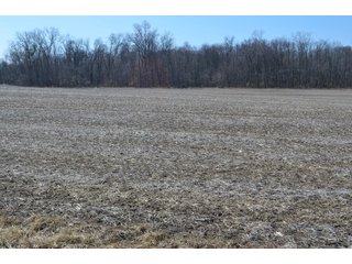 Property photo 33 - LAND AUCTION 77+/- ACRES OFFERED IN 8 TRACTS OR IN COMBINATION; PLUS 1 COMMERCIAL LOT IN HARLAN