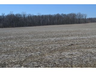Property photo 34 - LAND AUCTION 77+/- ACRES OFFERED IN 8 TRACTS OR IN COMBINATION; PLUS 1 COMMERCIAL LOT IN HARLAN