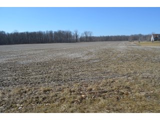 Property photo 35 - LAND AUCTION 77+/- ACRES OFFERED IN 8 TRACTS OR IN COMBINATION; PLUS 1 COMMERCIAL LOT IN HARLAN