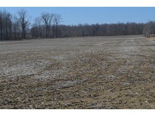 Property photo 36 - LAND AUCTION 77+/- ACRES OFFERED IN 8 TRACTS OR IN COMBINATION; PLUS 1 COMMERCIAL LOT IN HARLAN