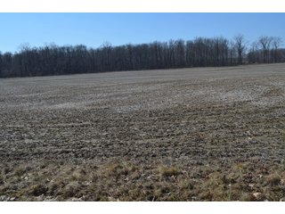 Property photo 37 - LAND AUCTION 77+/- ACRES OFFERED IN 8 TRACTS OR IN COMBINATION; PLUS 1 COMMERCIAL LOT IN HARLAN