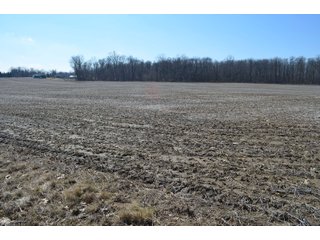 Property photo 24 - LAND AUCTION 77+/- ACRES OFFERED IN 8 TRACTS OR IN COMBINATION; PLUS 1 COMMERCIAL LOT IN HARLAN