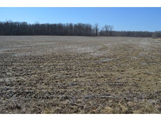 Property photo 40 - LAND AUCTION 77+/- ACRES OFFERED IN 8 TRACTS OR IN COMBINATION; PLUS 1 COMMERCIAL LOT IN HARLAN