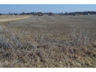 Property photo 41 - LAND AUCTION 77+/- ACRES OFFERED IN 8 TRACTS OR IN COMBINATION; PLUS 1 COMMERCIAL LOT IN HARLAN