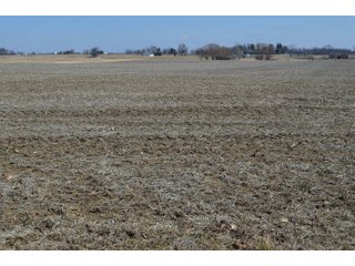 Property photo 45 - LAND AUCTION 77+/- ACRES OFFERED IN 8 TRACTS OR IN COMBINATION; PLUS 1 COMMERCIAL LOT IN HARLAN