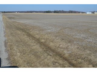 Property photo 47 - LAND AUCTION 77+/- ACRES OFFERED IN 8 TRACTS OR IN COMBINATION; PLUS 1 COMMERCIAL LOT IN HARLAN