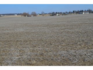 Property photo 49 - LAND AUCTION 77+/- ACRES OFFERED IN 8 TRACTS OR IN COMBINATION; PLUS 1 COMMERCIAL LOT IN HARLAN