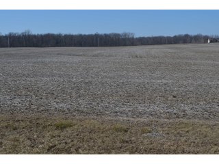 Property photo 3 - LAND AUCTION 77+/- ACRES OFFERED IN 8 TRACTS OR IN COMBINATION; PLUS 1 COMMERCIAL LOT IN HARLAN