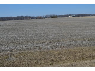 Property photo 4 - LAND AUCTION 77+/- ACRES OFFERED IN 8 TRACTS OR IN COMBINATION; PLUS 1 COMMERCIAL LOT IN HARLAN