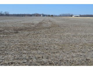 Property photo 5 - LAND AUCTION 77+/- ACRES OFFERED IN 8 TRACTS OR IN COMBINATION; PLUS 1 COMMERCIAL LOT IN HARLAN