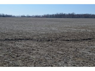 Property photo 6 - LAND AUCTION 77+/- ACRES OFFERED IN 8 TRACTS OR IN COMBINATION; PLUS 1 COMMERCIAL LOT IN HARLAN