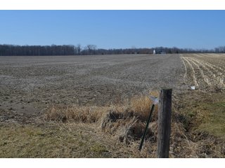 Property photo 9 - LAND AUCTION 77+/- ACRES OFFERED IN 8 TRACTS OR IN COMBINATION; PLUS 1 COMMERCIAL LOT IN HARLAN