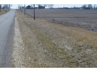 Property photo 10 - LAND AUCTION 77+/- ACRES OFFERED IN 8 TRACTS OR IN COMBINATION; PLUS 1 COMMERCIAL LOT IN HARLAN