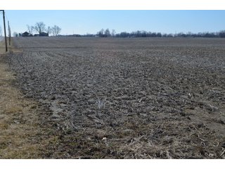 Property photo 11 - LAND AUCTION 77+/- ACRES OFFERED IN 8 TRACTS OR IN COMBINATION; PLUS 1 COMMERCIAL LOT IN HARLAN