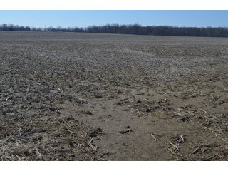 Property photo 12 - LAND AUCTION 77+/- ACRES OFFERED IN 8 TRACTS OR IN COMBINATION; PLUS 1 COMMERCIAL LOT IN HARLAN