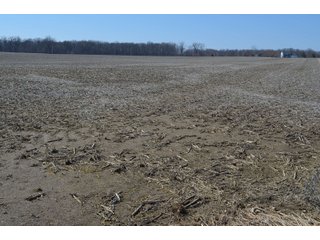 Property photo 13 - LAND AUCTION 77+/- ACRES OFFERED IN 8 TRACTS OR IN COMBINATION; PLUS 1 COMMERCIAL LOT IN HARLAN