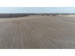Property photo 14 - LAND AUCTION 77+/- ACRES OFFERED IN 8 TRACTS OR IN COMBINATION; PLUS 1 COMMERCIAL LOT IN HARLAN