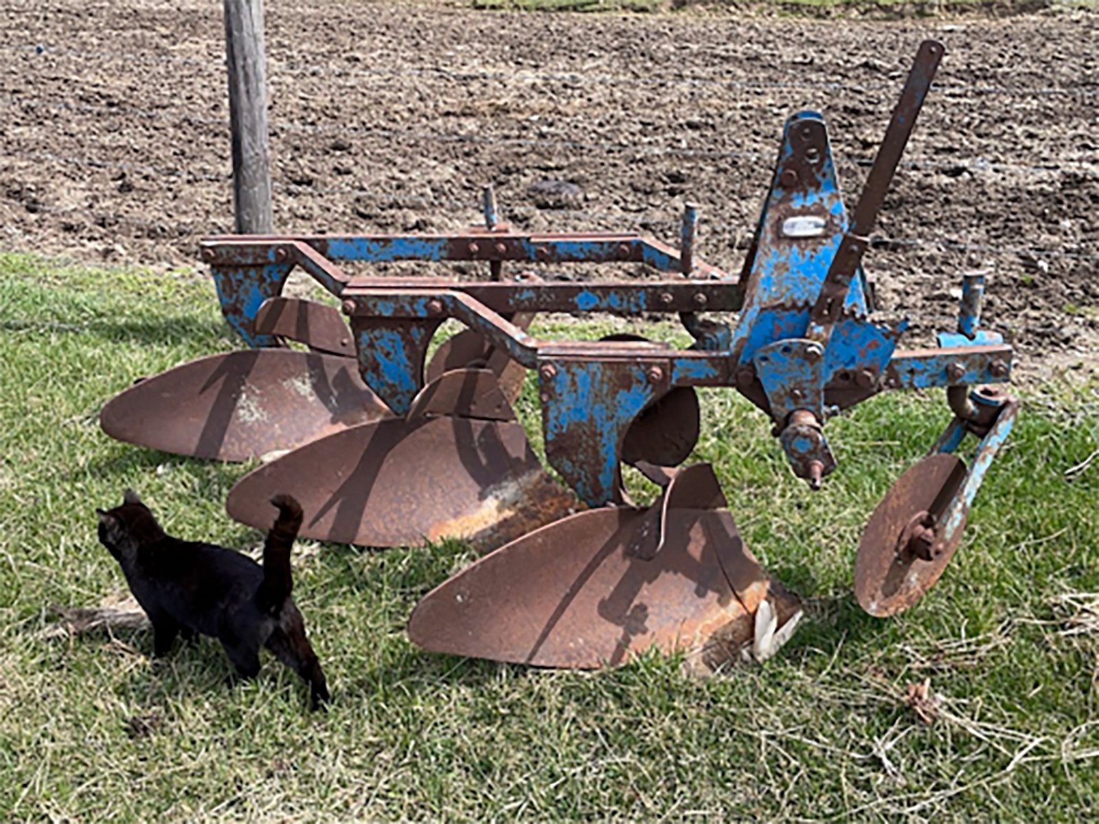 Property photo 6 - TIMED ONLINE ONLY AUCTION