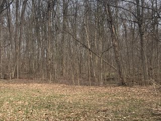 Property photo 18 - REAL ESTATE AUCTION 3.25+/- ACRES OFFERED IN 1 TRACT IN WHITLEY COUNTY, IN