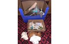Property photo 305 - TIMED ONLINE ONLY - PERSONAL PROPERTY AUCTION IN WHITLEY COUNTY, IN