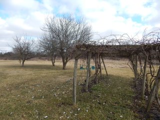 Property photo 4 - PERSONAL PROPERTY AND REAL ESTATE AUCTION 10+/- ACRES OFFERED IN 2 TRACTS IN FORT WAYNE, IN