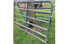 Property photo 12 - TIMED ONLINE ONLY AUCTION IN WELLS COUNTY IN