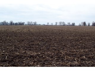 Property photo 35 - REAL ESTATE AUCTION 117+/- ACRES OFFERED IN 3 TRACTS OR IN COMBINATIONS IN NEWTON COUNTY, IN