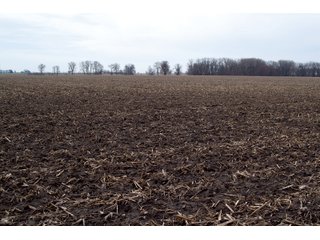 Property photo 12 - REAL ESTATE AUCTION 117+/- ACRES OFFERED IN 3 TRACTS OR IN COMBINATIONS IN NEWTON COUNTY, IN