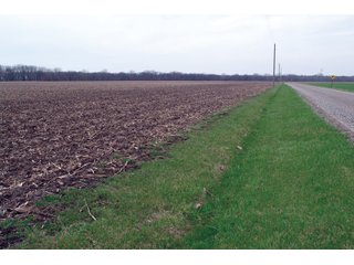 Property photo 13 - REAL ESTATE AUCTION 117+/- ACRES OFFERED IN 3 TRACTS OR IN COMBINATIONS IN NEWTON COUNTY, IN