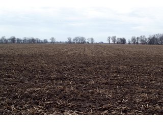 Property photo 36 - REAL ESTATE AUCTION 117+/- ACRES OFFERED IN 3 TRACTS OR IN COMBINATIONS IN NEWTON COUNTY, IN