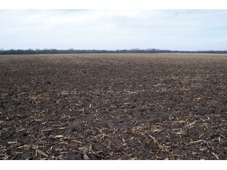 Property photo 11 - REAL ESTATE AUCTION 117+/- ACRES OFFERED IN 3 TRACTS OR IN COMBINATIONS IN NEWTON COUNTY, IN
