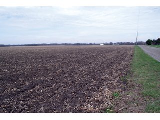 Property photo 14 - REAL ESTATE AUCTION 117+/- ACRES OFFERED IN 3 TRACTS OR IN COMBINATIONS IN NEWTON COUNTY, IN