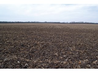 Property photo 19 - REAL ESTATE AUCTION 117+/- ACRES OFFERED IN 3 TRACTS OR IN COMBINATIONS IN NEWTON COUNTY, IN