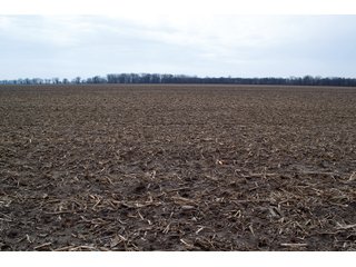 Property photo 18 - REAL ESTATE AUCTION 117+/- ACRES OFFERED IN 3 TRACTS OR IN COMBINATIONS IN NEWTON COUNTY, IN