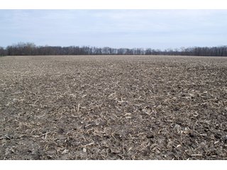 Property photo 17 - REAL ESTATE AUCTION 117+/- ACRES OFFERED IN 3 TRACTS OR IN COMBINATIONS IN NEWTON COUNTY, IN