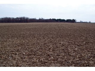 Property photo 15 - REAL ESTATE AUCTION 117+/- ACRES OFFERED IN 3 TRACTS OR IN COMBINATIONS IN NEWTON COUNTY, IN