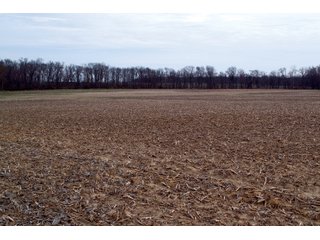 Property photo 16 - REAL ESTATE AUCTION 117+/- ACRES OFFERED IN 3 TRACTS OR IN COMBINATIONS IN NEWTON COUNTY, IN