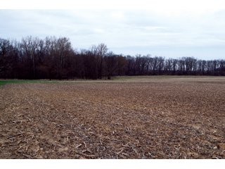 Property photo 34 - REAL ESTATE AUCTION 117+/- ACRES OFFERED IN 3 TRACTS OR IN COMBINATIONS IN NEWTON COUNTY, IN
