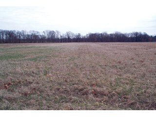 Property photo 33 - REAL ESTATE AUCTION 117+/- ACRES OFFERED IN 3 TRACTS OR IN COMBINATIONS IN NEWTON COUNTY, IN