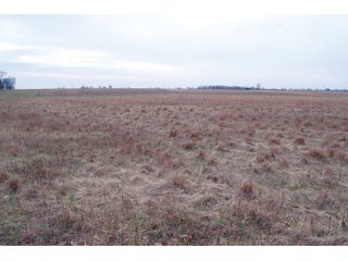 Property photo 32 - REAL ESTATE AUCTION 117+/- ACRES OFFERED IN 3 TRACTS OR IN COMBINATIONS IN NEWTON COUNTY, IN
