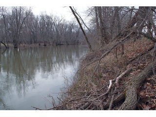Property photo 20 - REAL ESTATE AUCTION 117+/- ACRES OFFERED IN 3 TRACTS OR IN COMBINATIONS IN NEWTON COUNTY, IN