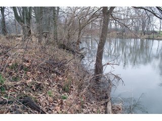 Property photo 28 - REAL ESTATE AUCTION 117+/- ACRES OFFERED IN 3 TRACTS OR IN COMBINATIONS IN NEWTON COUNTY, IN
