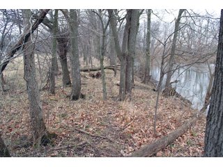 Property photo 29 - REAL ESTATE AUCTION 117+/- ACRES OFFERED IN 3 TRACTS OR IN COMBINATIONS IN NEWTON COUNTY, IN