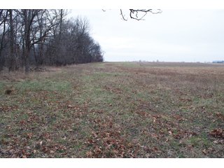 Property photo 21 - REAL ESTATE AUCTION 117+/- ACRES OFFERED IN 3 TRACTS OR IN COMBINATIONS IN NEWTON COUNTY, IN