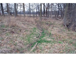 Property photo 22 - REAL ESTATE AUCTION 117+/- ACRES OFFERED IN 3 TRACTS OR IN COMBINATIONS IN NEWTON COUNTY, IN