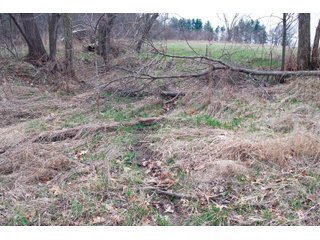 Property photo 23 - REAL ESTATE AUCTION 117+/- ACRES OFFERED IN 3 TRACTS OR IN COMBINATIONS IN NEWTON COUNTY, IN