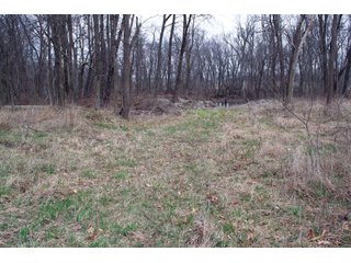 Property photo 24 - REAL ESTATE AUCTION 117+/- ACRES OFFERED IN 3 TRACTS OR IN COMBINATIONS IN NEWTON COUNTY, IN