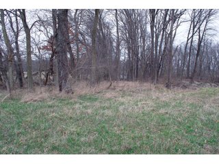 Property photo 25 - REAL ESTATE AUCTION 117+/- ACRES OFFERED IN 3 TRACTS OR IN COMBINATIONS IN NEWTON COUNTY, IN