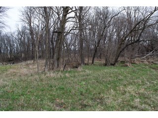 Property photo 26 - REAL ESTATE AUCTION 117+/- ACRES OFFERED IN 3 TRACTS OR IN COMBINATIONS IN NEWTON COUNTY, IN