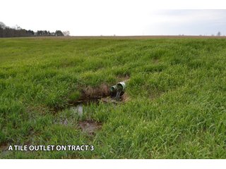 Property photo 10 - REAL ESTATE AUCTION 117+/- ACRES OFFERED IN 3 TRACTS OR IN COMBINATIONS IN NEWTON COUNTY, IN